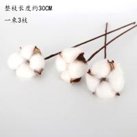 云南干花花束diy材料装饰永生花摆件满天星插花棉花客厅真花混搭 木棉花3枝