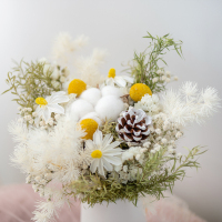 蓬莱松玫瑰干花花束家居装饰摆件ins天然风干真花棉花摄影道具 文心兰花束[不带瓶] 干树枝