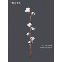 干花多头棉花真花花束创意艺术家居装饰摆件小清新田园风拍摄道具 棉花1支(7头)