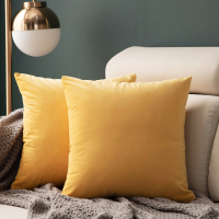 北欧天鹅绒抱枕靠垫客厅腰枕套沙发靠枕床头抱枕套不含芯大号靠背 秋香 40X40cm[单独套子][加厚天鹅绒]