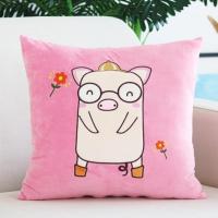 卡通毛绒靠垫可拆洗沙发靠背办公室床头靠枕汽车腰枕抱枕套不含芯 眼镜猪(粉) (单个枕套)枕套子40x40cm
