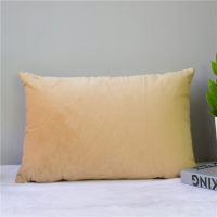 加厚纯色天鹅绒腰枕沙发抱枕靠垫长条客厅家用午睡枕长方形靠枕套 浅香槟色 30x50（枕套）