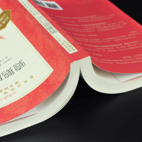 正版骑鹅旅行记六年级下册高子英等译人民文学出版社小学生四五六年级课外读物书籍6下尼尔斯骑鹅历险记正版企鹅历险记