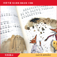 了不起的狐狸爸爸正版注音版 老师推荐二年级课外书必读小学生课外阅读书籍明天出版社儿童读物适合一年级带拼音的罗尔德达尔的书