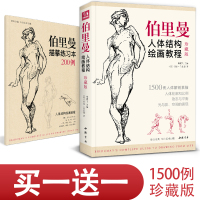 珍藏版 伯里曼人体结构教学 人物速写入门基础绘画临摹书籍 透视技法自学头像美术艺术手绘教材全套正版 杨建飞主编