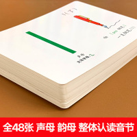 拼音卡片幼小衔接儿童学习教材神器启蒙认知早教书籍声母韵母整体认读音节大卡字母卡2-3-6岁小学一年级全套学拼音专用教具人