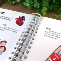 正版 我们的身体 儿童3d立体书绘本全套科普百科全书人体故事书性启蒙教育幼儿园大中小班书籍3-4-5-6-7岁揭秘翻翻洞