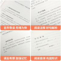 绿山墙的安妮正版四五六年级中小学生课外拓展阅读老师推荐语文课本配套必读书目人民文学名著图书籍完整原版福建教育出版社