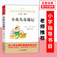 小布头奇遇记/孙幼军三四年级小学生教材配套/儿童文学名家书系/指定小学生必读/正版8-10-12岁小学生课外阅读书曹文轩