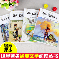 全套4册 六年级必读课外阅读书籍下册经典书目老师推荐 鲁滨逊漂流记正版小学生版 尼尔斯骑鹅旅行记汤姆索亚历险记爱丽丝漫游