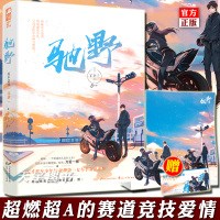 [赠立卡+海报+入场券]正版 驰野 丁十三 大鱼文化女生系列现代都市青春文学热血赛车竞技爱情超甜高甜宠文言情小说实体书籍