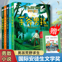 正版 手斧男孩(套装全5册)7-8-9-10-12-15岁外国儿童文学 少儿侦探卡通冒险小说曹文轩倾情推荐 青少年儿童学