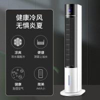 海尔(Haier) 空调扇 FZY8621 3L水箱 加湿单冷型 双水箱 制冷定时 遥控款 3档 单冷空调扇