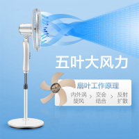 海尔(Haier)XLJ4001A家用电风扇摇头轻风扇轻音大风落地扇节能 机械式三档可调