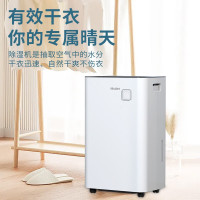 海尔(Haier) 除湿机/抽湿机 除湿量30升/天 家用轻音 净化吸湿器地下室档案室干燥机 干衣机 DE30J