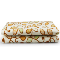 事达(Royalstar)电热毯膝毯加热坐垫电暖垫办公室暖手暖脚宝护膝电热毯双人电热毯/双温控调节R1868