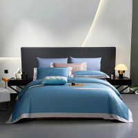 华人情思 休闲全棉绣花四件套 200*230cm D1804/套