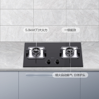 华帝(vatti)JZT-ZS306天然气灶 5.0猛火 方形锅支架 分体炉头 热电偶熄火保护 一级能效