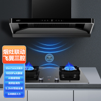 [零售一口价 预售7月中旬发]华帝(vatti)XS416+ZS520H小飞翼F1套餐 25m³ 风量1000Pa风压