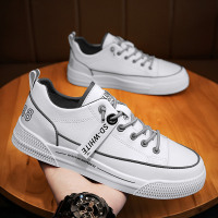 2021年新款男鞋春季透气休闲百搭板鞋帆布小白开车平底春夏季潮鞋