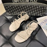 凉鞋女低粗跟仙女风配裙子2021年夏季新款时尚一字带时装鞋ins潮