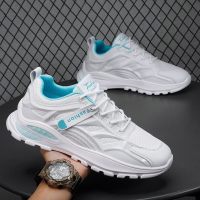 枫述浩壤小白鞋子2021年新款男初中学生潮流百搭跑步软底运动休闲潮鞋