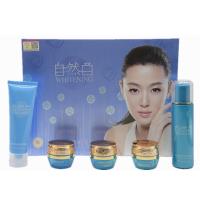 自然白自然美肤雪润五合一 五件套面部斑护肤化妆品日霜晚霜护肤化妆品专柜