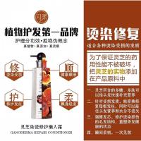 闪柔我的植物养发笔记懒三代何首乌控油去屑懒人洗发露柔亮护发灵芝人参精华乳舒缓补水草本萃取