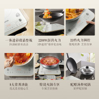 苏泊尔(SUPOR)电磁炉大功率触控六大功能定时配双锅 C22-IA09[新款-2200W-配双锅]
