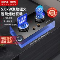 樱雪Q2327B (液化气20Y)(INSE)燃气灶双灶 5.0KW煤气灶 液化气灶嵌入式灶台液化气家用炉具