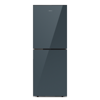 创维两门风冷无霜冰箱BCD-256WGY