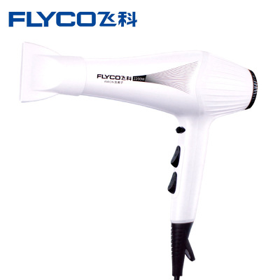 飞科（FLYCO）FH6102 电吹风 吹风机吹风筒发廊家用理发店负离子不伤发冷热风卷发美发