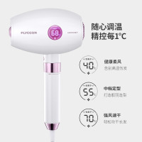 飞科(FLYCO)电吹风机家用吹风筒负离子护发1800W大功率专业发型师FH6285 标配
