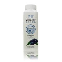 天友淳源风味发酵乳（蓝莓味） 250g