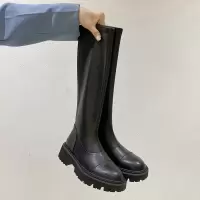 婕秘马丁靴女春秋单靴2021年新款骑士靴弹力长靴网红瘦瘦靴鞋子长筒靴
