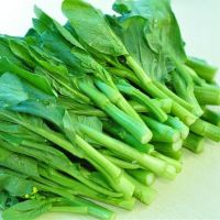 甜菜心四九菜苔花甜心菜阳台盆栽花甜心菜心蔬菜种籽