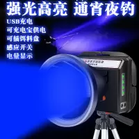 强光充电超亮蓝光大功率钓鱼灯夜钓灯紫光手电筒台钓紫光头灯钓具