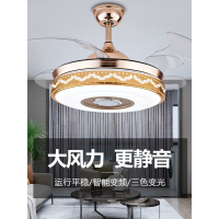 隐形风扇灯吊扇灯 灯具蓝牙音响音乐饭厅餐厅带吊灯一体卧室静音客厅简约现代家用