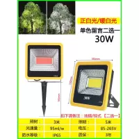 led七彩投光灯射灯户外防水照树灯园林景观插地灯庭院草坪射树灯|30W正白光/暖白光[大泛光]保三年