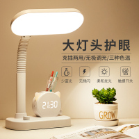 充电式台灯护眼书桌小学生学习专用儿童写字卧室床头插电两用台风