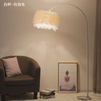 公主羽毛落地灯客厅沙发网红卧室床头钓鱼灯北欧简约创意立式台灯