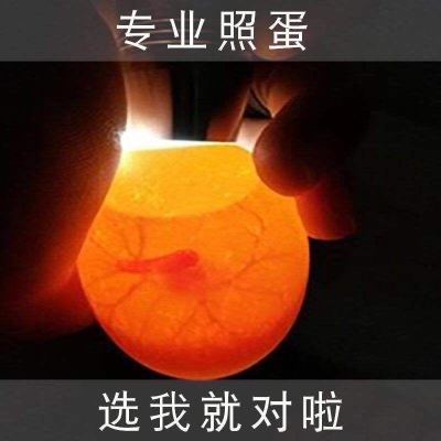 照蛋器强光孵化专用鸡蛋验蛋神器穿透冷光照蛋灯led充电小型电筒