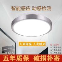 雷达感应灯人体感应声光控灯厕所led楼道家用吸顶灯走廊过道楼梯