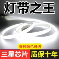 灯带led超亮双排家用客厅吊顶220v线条灯长条灯户外防水三色变色