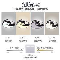 卧室灯led三色带小夜灯现代简约家用长方形客厅灯带遥控led吸顶灯