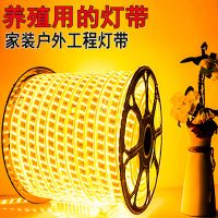 led灯带220v家装户外养殖2835-5730双排防水高亮白光暖光工程灯带