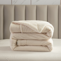 1.3斤羊羔绒双层毛毯100*120cm