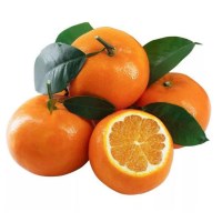 广西精品沃柑500g