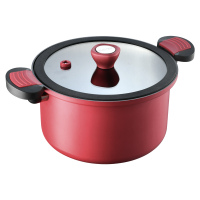 苏泊尔微压汤锅抗菌不粘锅家用电磁炉燃气灶双耳炖锅高压力锅蒸锅复底加厚炖锅电磁炉通用