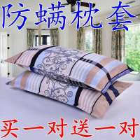 枕头套一对棉枕套单人加大成人加厚枕套学生宿舍韩式情侣枕芯套